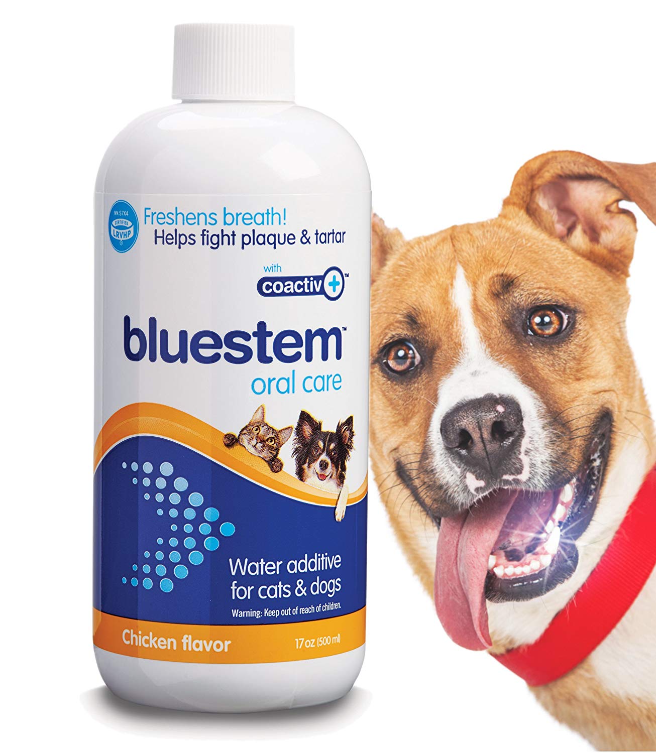 Bluestem Oral Care 500ml