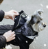 Canada Pooch Snow Suit Sz 10
