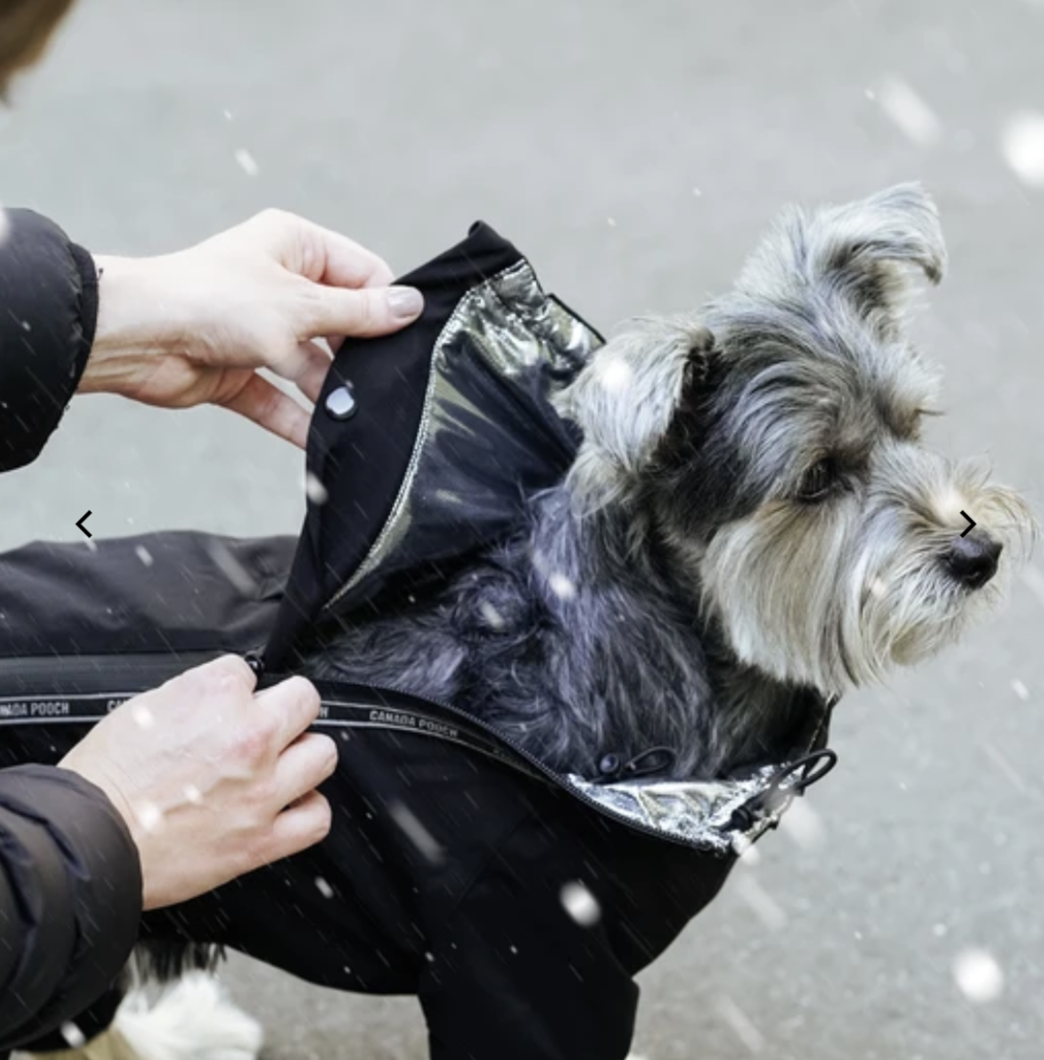 Canada Pooch Snow Suit Sz 12