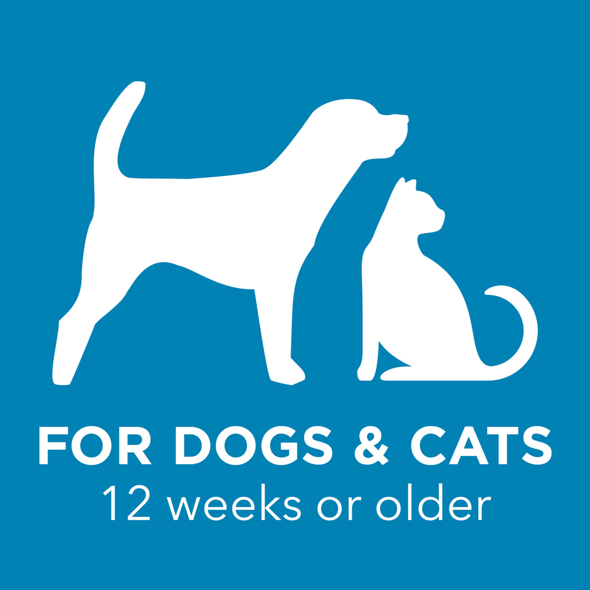 Tropiclean Paw Pad Lotion 4oz