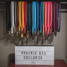 Prairie Dog Collar Co. Biothane Leash - 1"or 3/4 x 6'