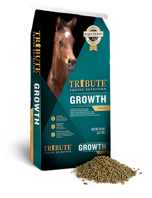 Tribute Growth 16% Horse Feed