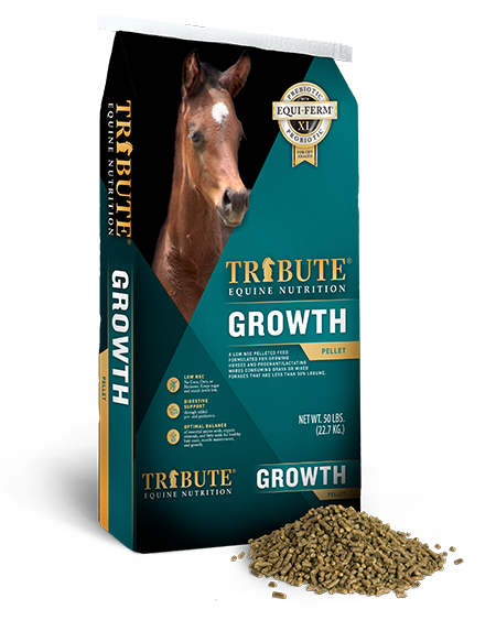 Tribute Growth 16% Horse Feed