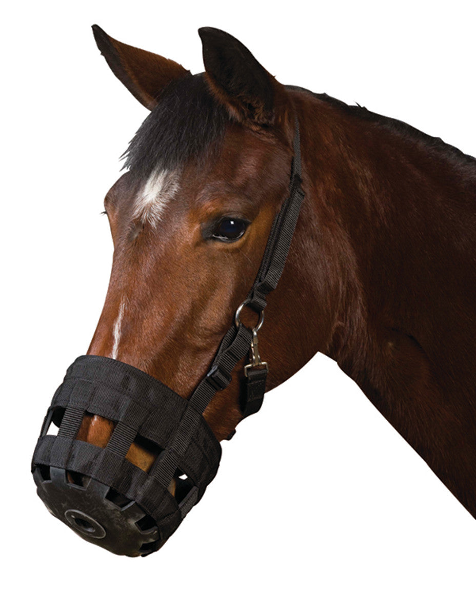 Grazing Muzzle  Nylon