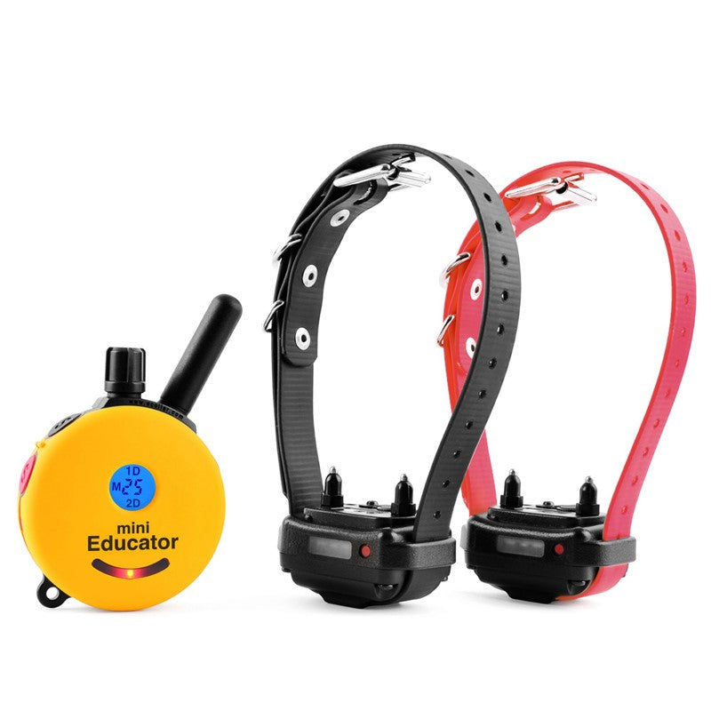 Mini Educator ET-302 2 Dog Remote Trainer