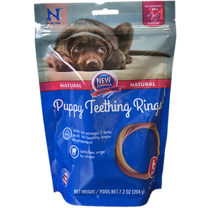 N-Bone Puppy Teething Ring 6pk Pumpkin