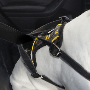 KURGO Impact Seatbelt Harness