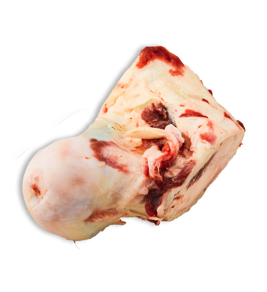 K9 choice sales raw dog food