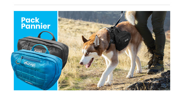 Kurgo RSG Pannier Pack