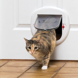 Pet Safe Plus-Sized Cat Pet Door