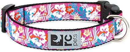 RC Clip Collar Large 15-25" Long 1" Wide