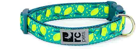 RC Clip Collar Large 15-25" Long 1" Wide