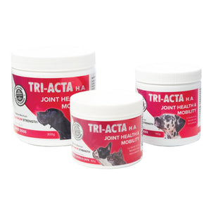 TRI-ACTA Joint Care EXTRA STRENGTH 140G