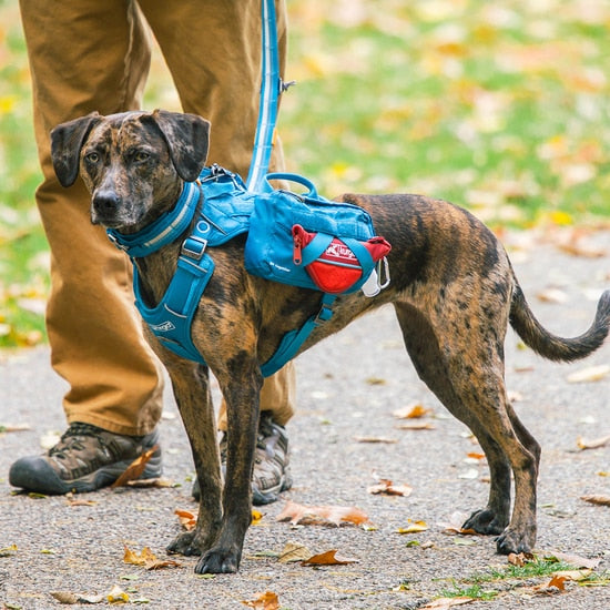 Kurgo RSG County Harness Medium