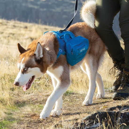 Kurgo RSG Pannier Pack