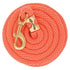 Lead Rope- Poly 10ft