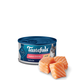 Blue Salmon Pate 5.5oz Tasteful