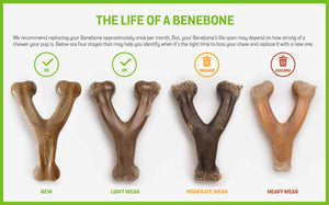 Benebone Wishbone Medium